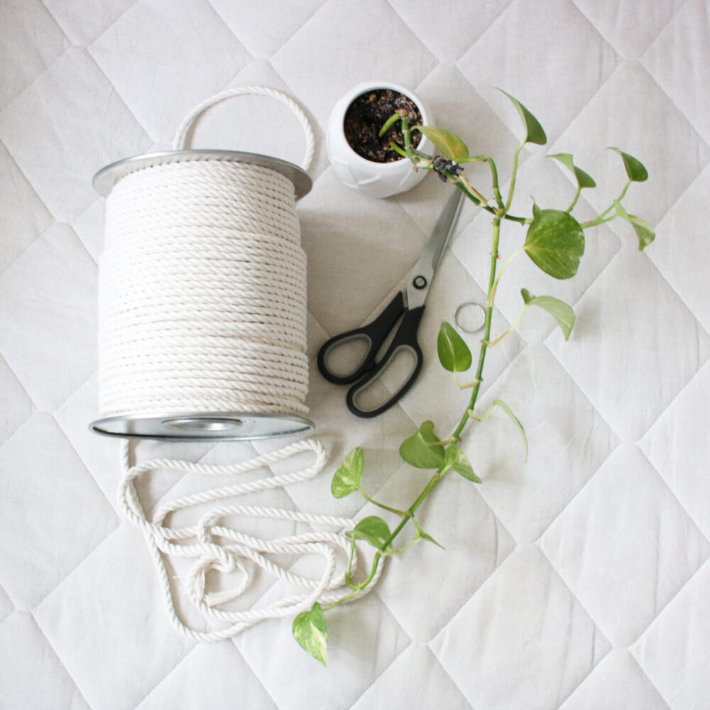 Macrame Plant Hanger DIY For Beginners