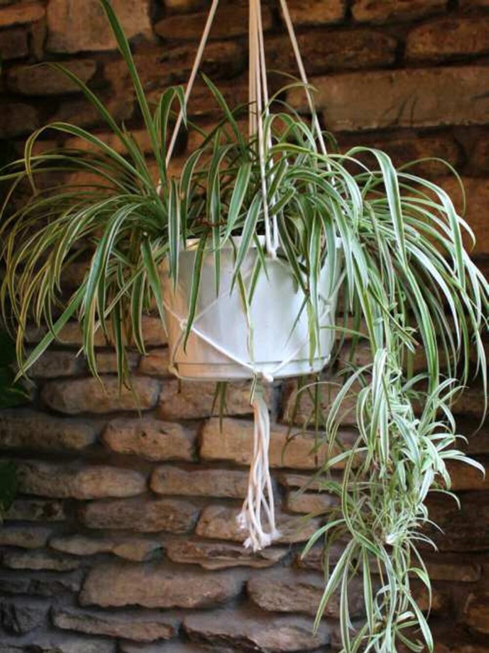 10 Free Macrame Plant Hangers and Wall Hanging Patterns