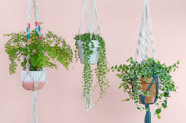 10 Free Macrame Plant Hangers and Wall Hanging Patterns