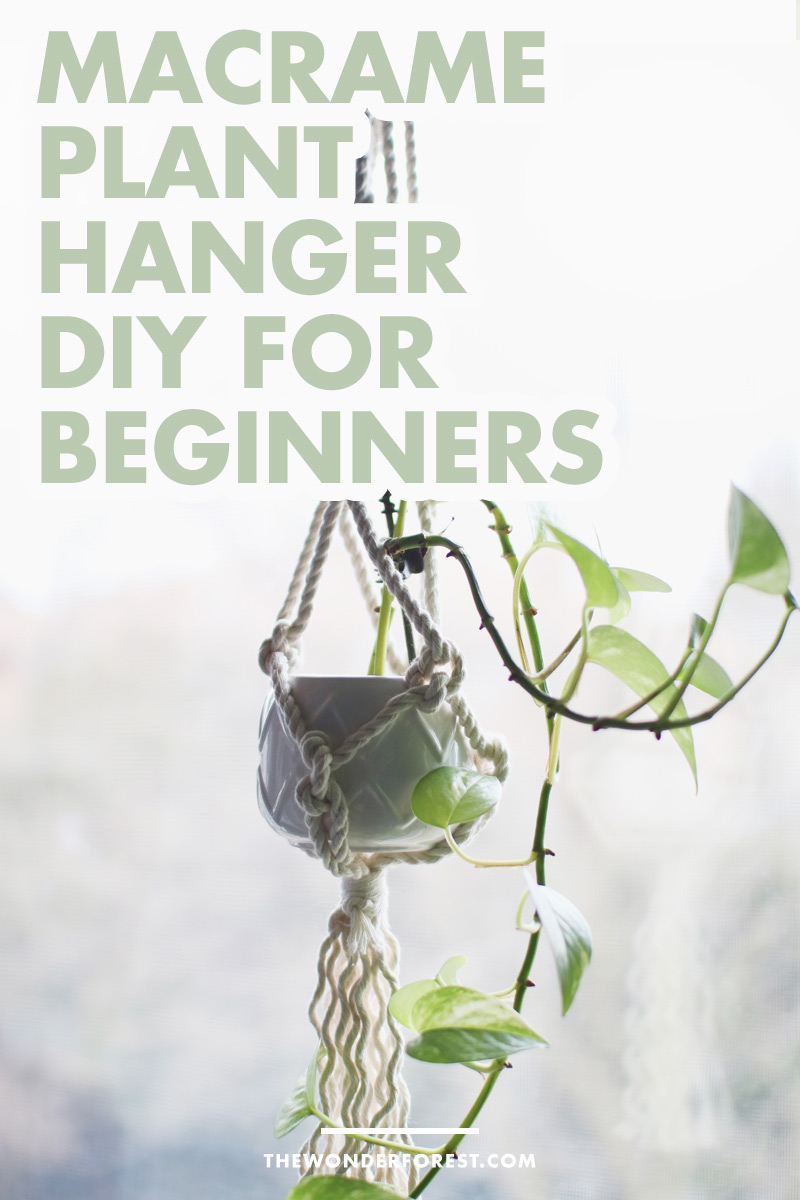 Macrame Plant Hanger DIY For Beginners