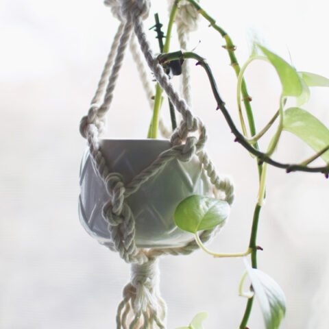 DIY Macrame Plant Hanger for Beginners