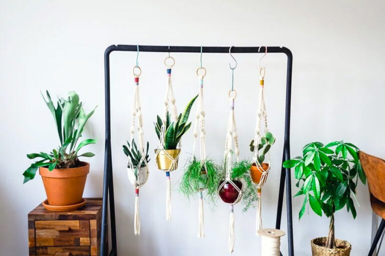 How To Make a Macrame Rope Rainbow Wall Hanging - Wonder Forest