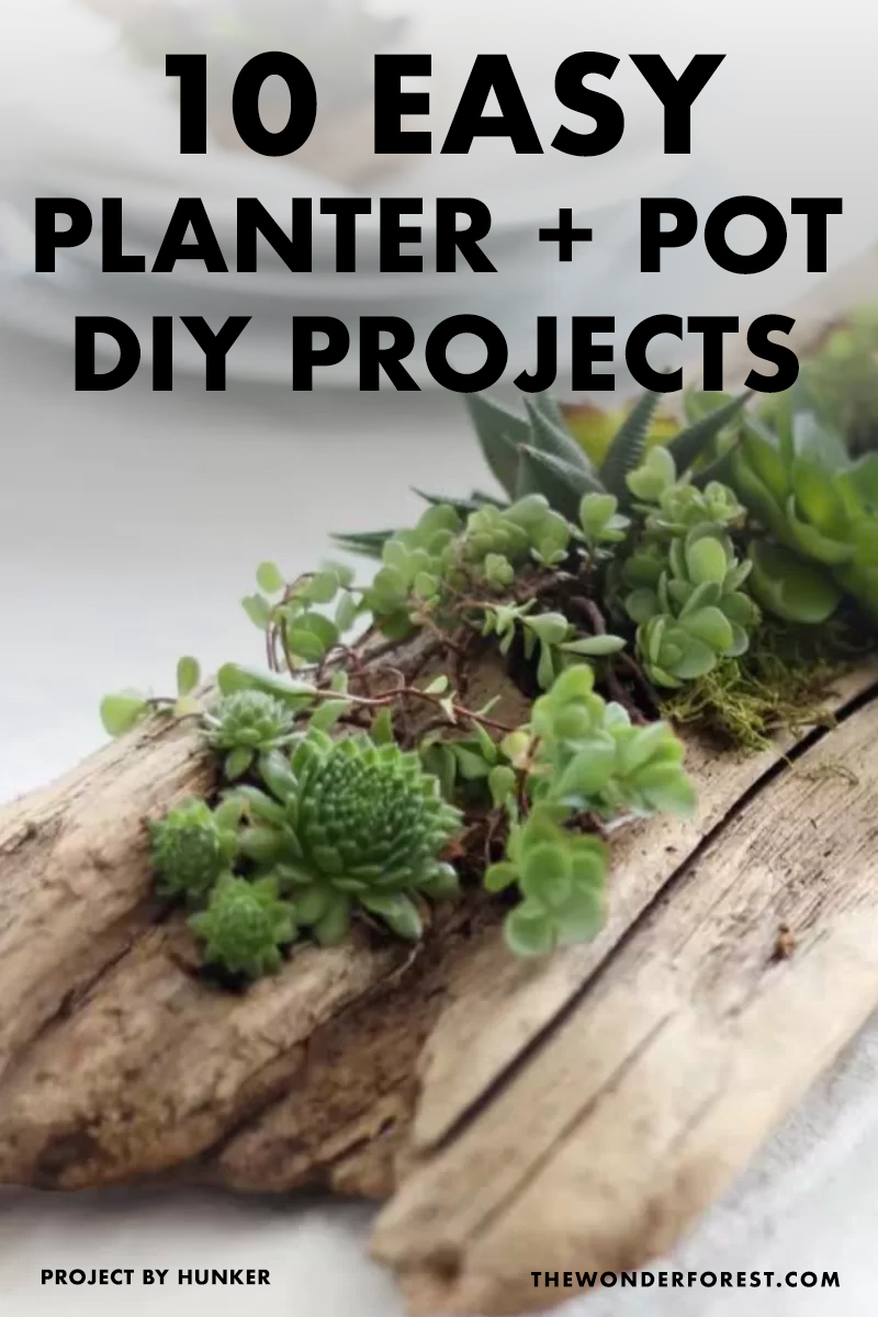 10 DIY Planters and Flower Pots You Can Make at Home