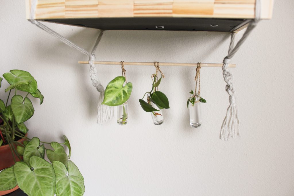 Summer Dollar Store DIY: Macrame Hanging Shelf