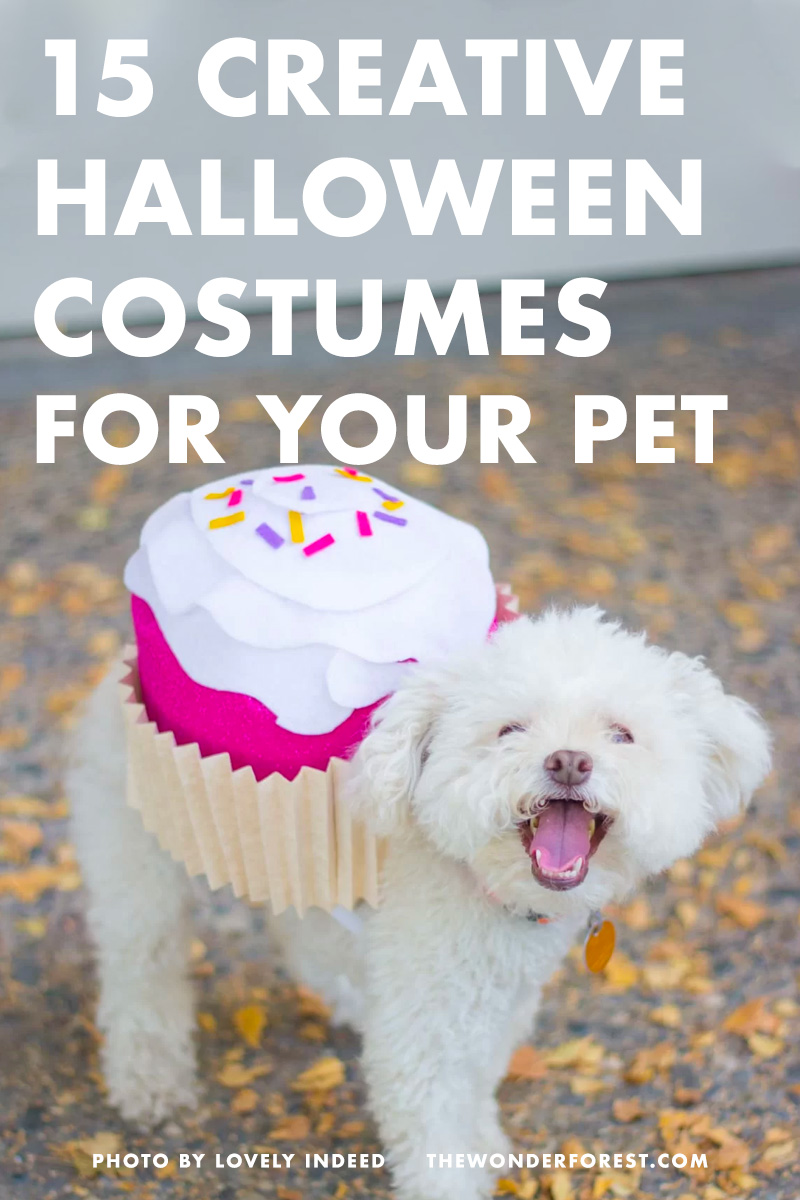 15 Creative Halloween Costumes For Your Pets