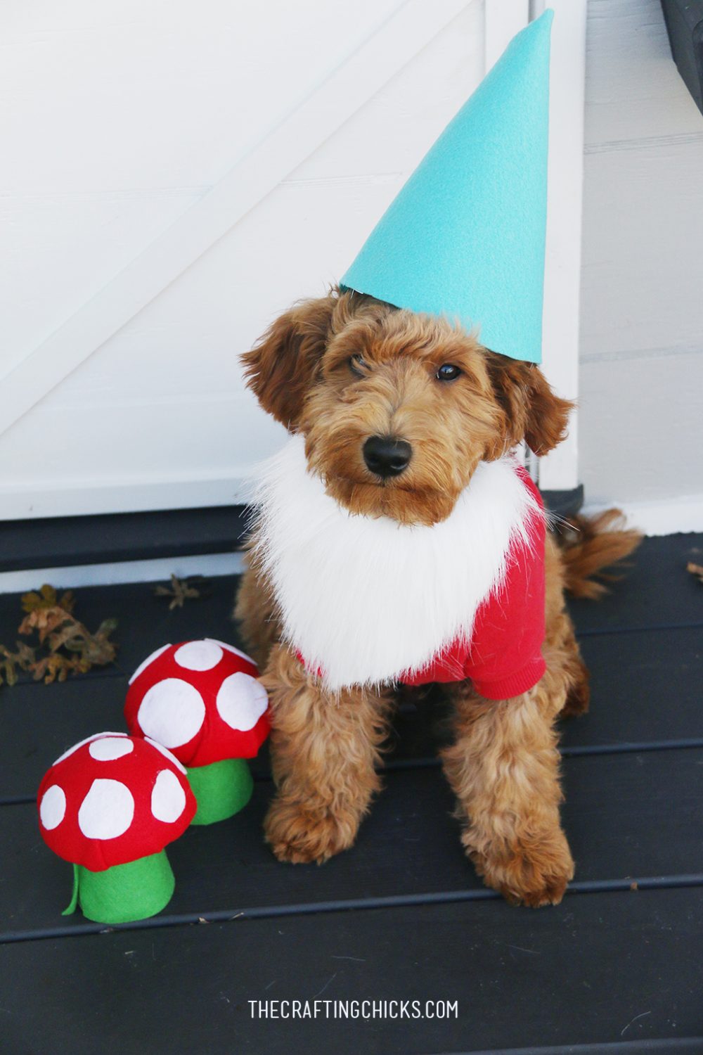 15 Creative Halloween Costumes For Your Pets
