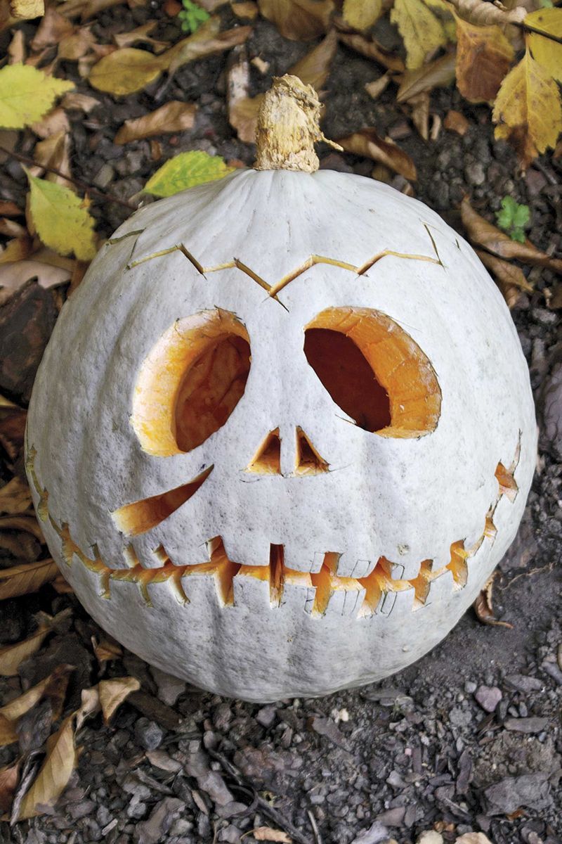 11 Creative Pumpkin Ideas for 2021