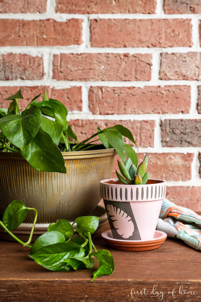 20 Beautiful Painted Pot Ideas