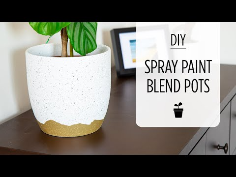 20 Beautiful Painted Pot Ideas