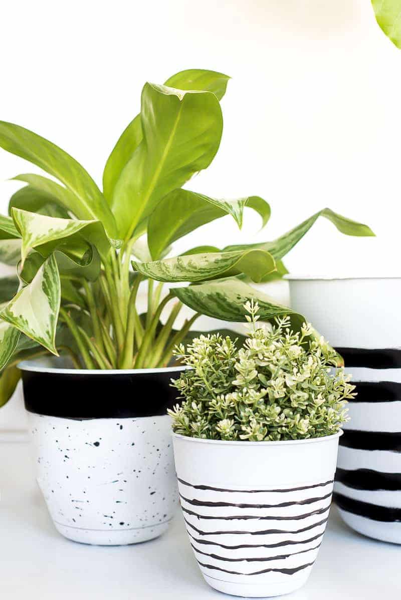 20 Beautiful Painted Pot Ideas