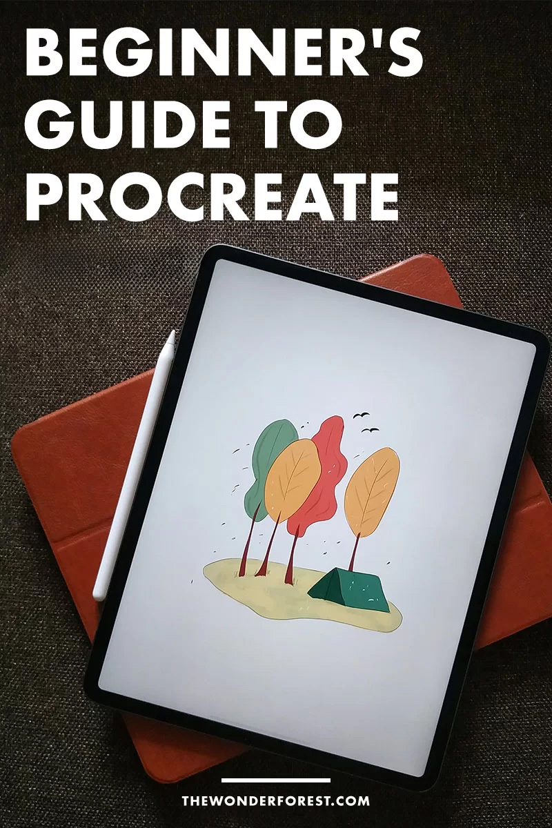 beginner's guide to procreate