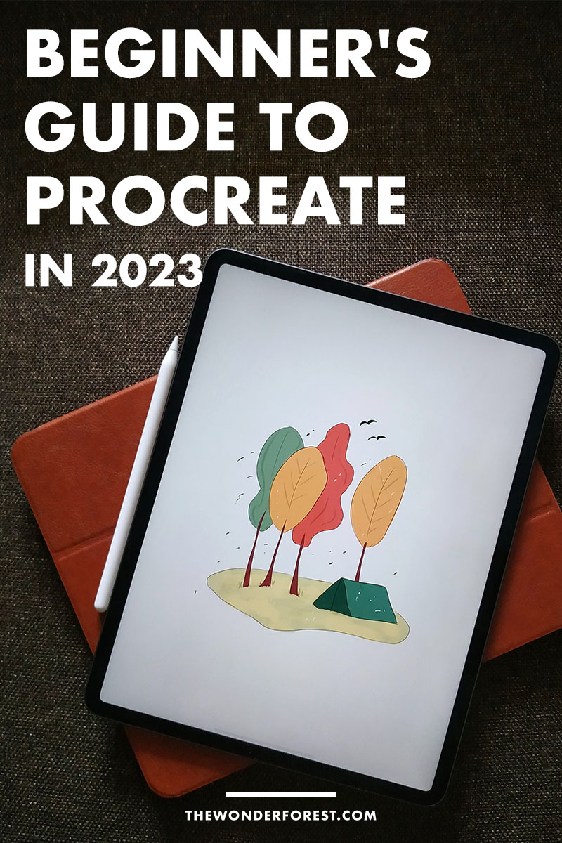 A Basic Beginner's Guide to Procreate in 2023