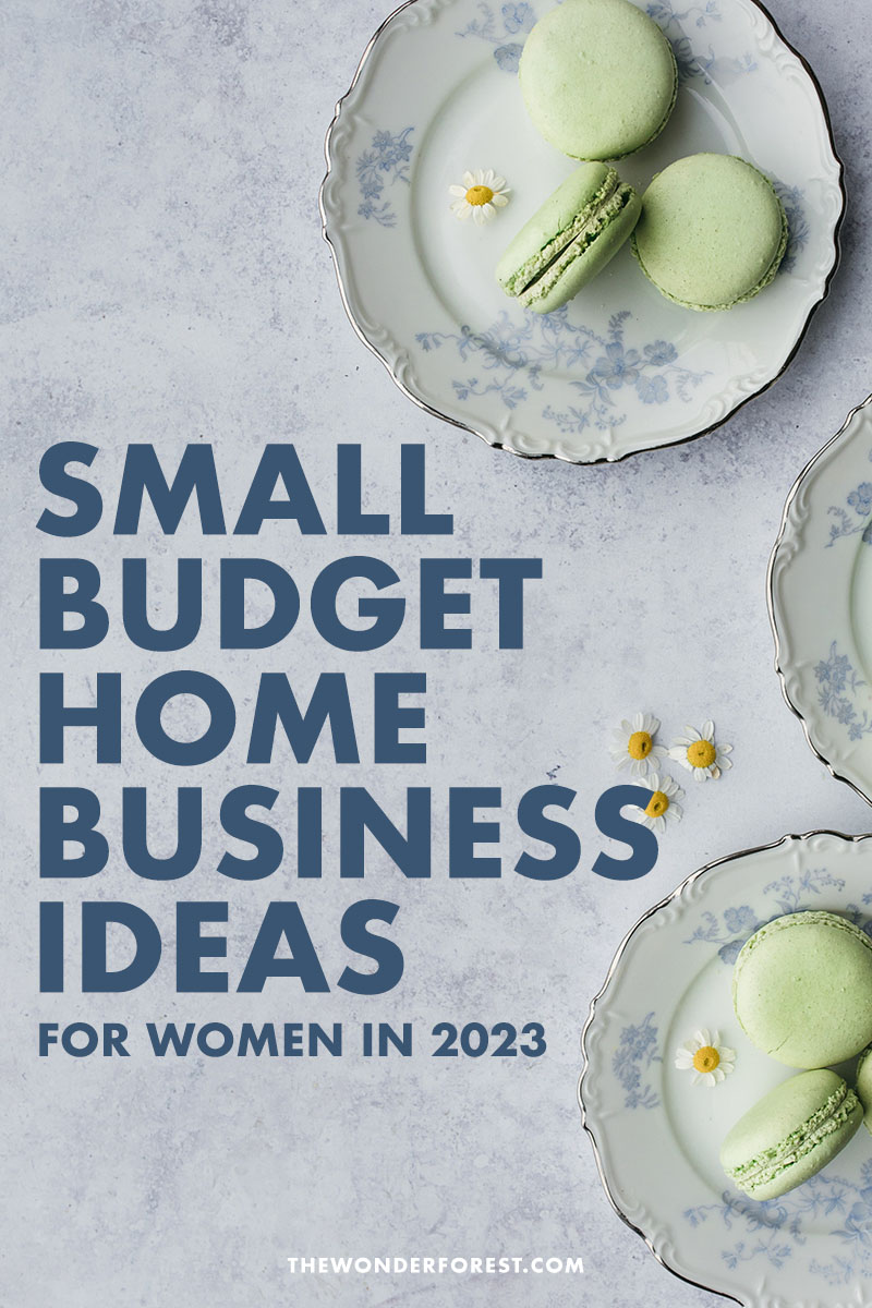 Small Budget Home Business Ideas for Women in 2023