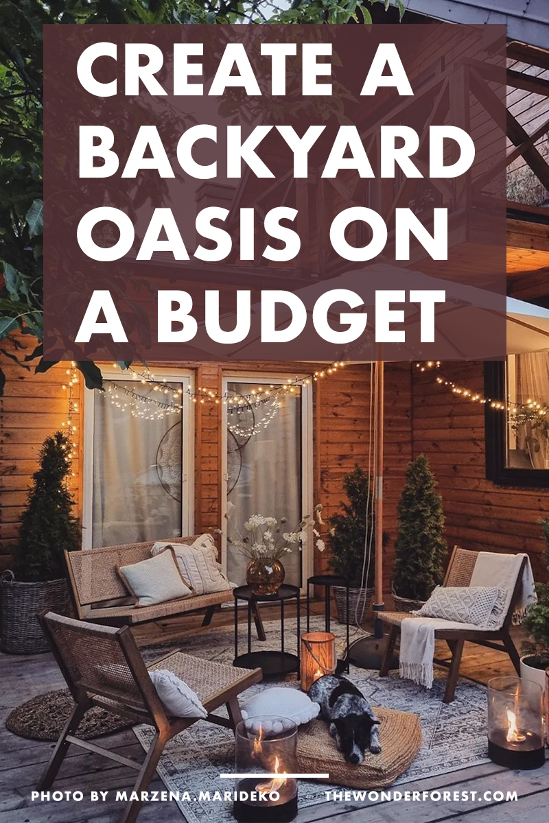 How to Create a Backyard Oasis on a Budget