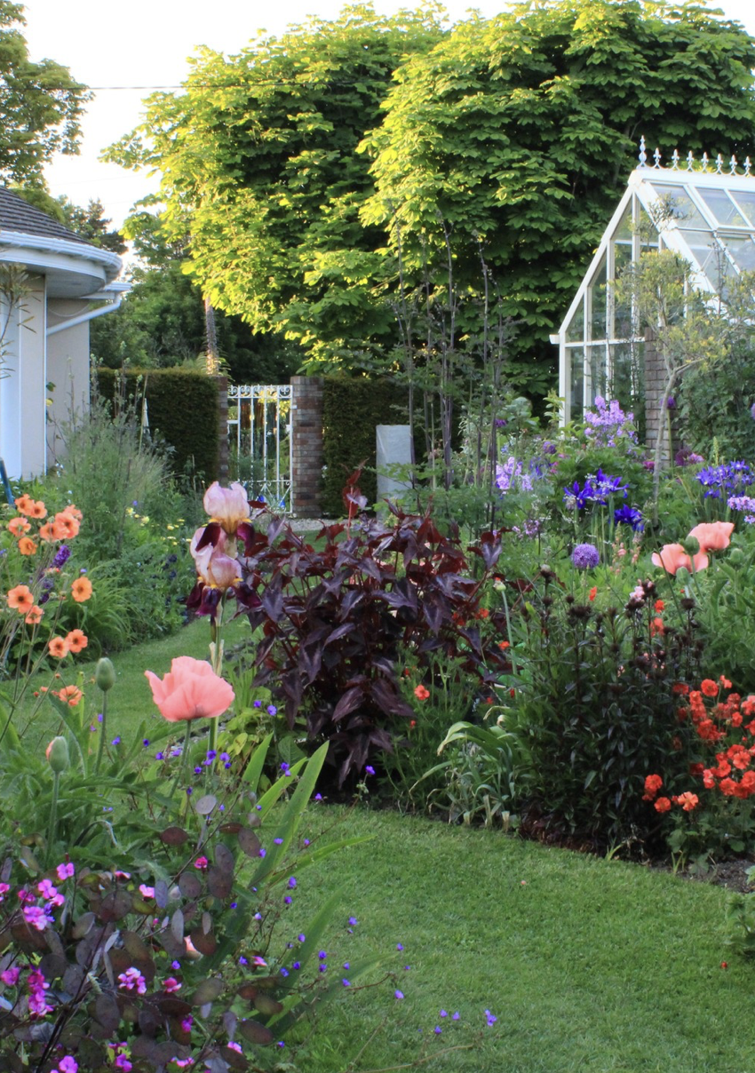 How to Create a Backyard Oasis on a Budget