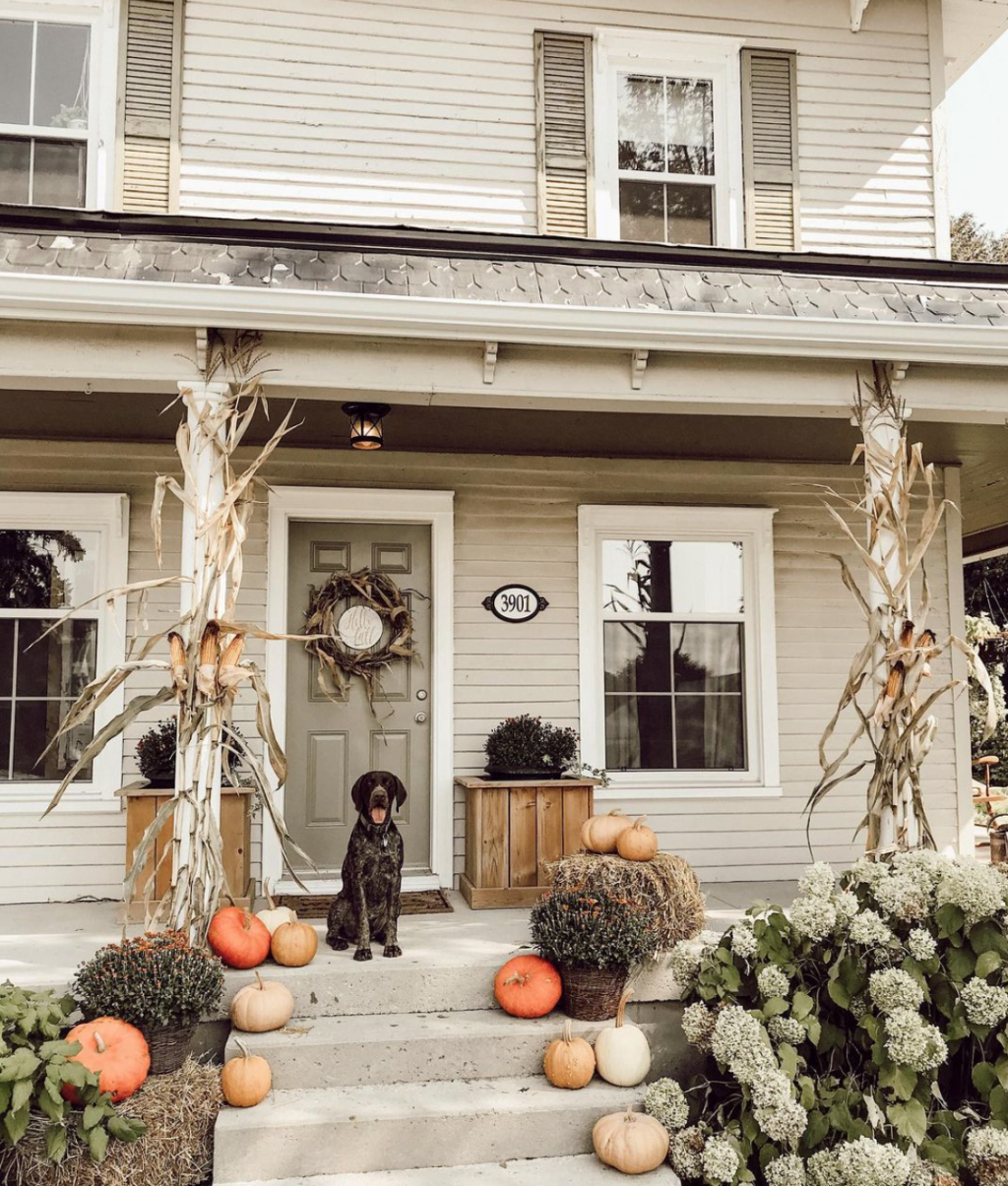 Fall Decor Goes Into the Woods