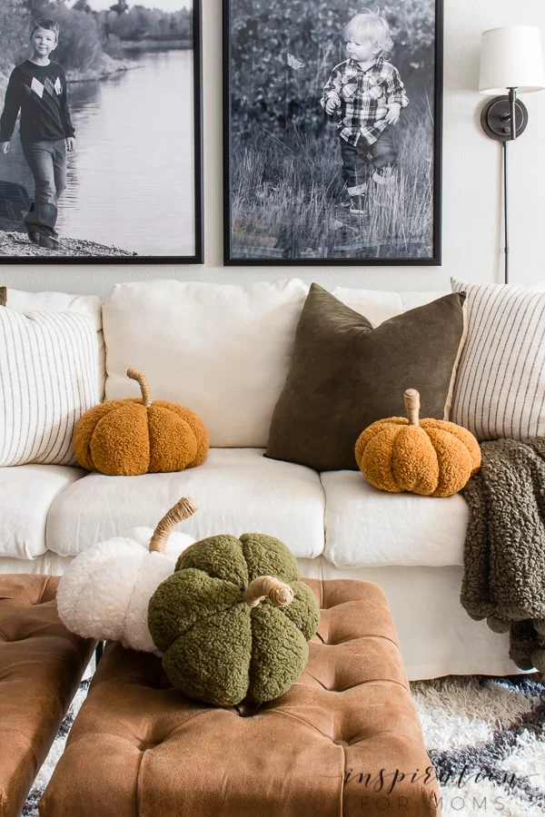 20 Easy Rustic Fall Decor Ideas