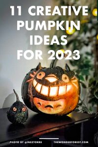11 Creative Pumpkin Ideas for 2023 - Wonder Forest