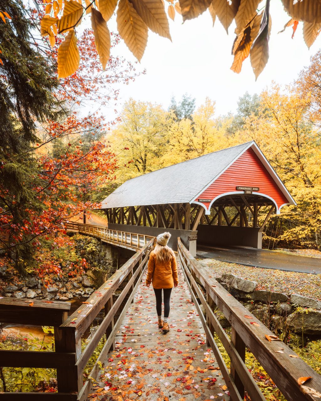 25 Fall Photoshoot Ideas You'll Want To Try