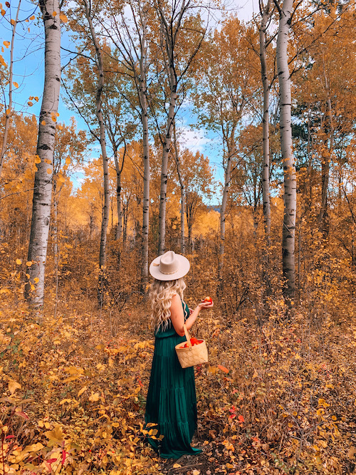 25 Fall Photoshoot Ideas You'll Want To Try