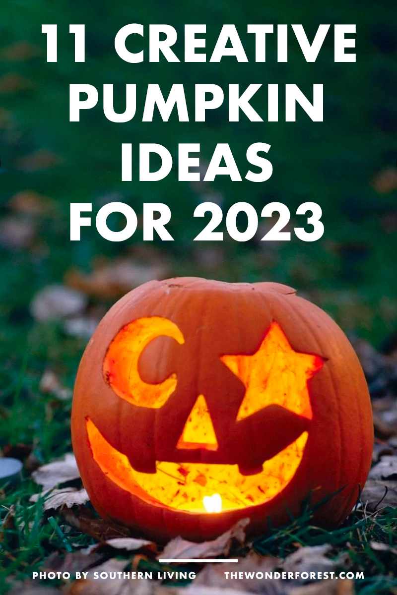 11 Creative Pumpkin Ideas for 2023