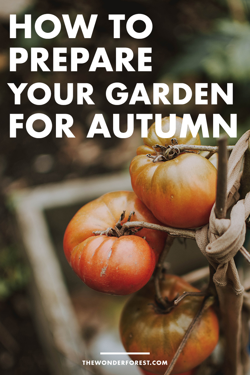 How to Prepare Your Garden for Autumn