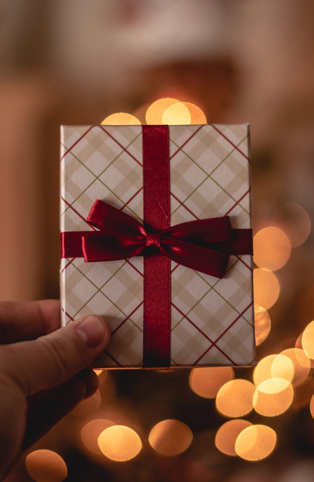 The Best Christmas Gift Ideas for Homeowners